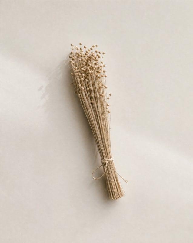 A tied bundle of dried flax stalks, the plant linen is spun from.