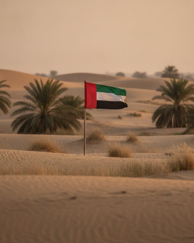 A United Arab Emirates flag among date palms in the desert at low sun.